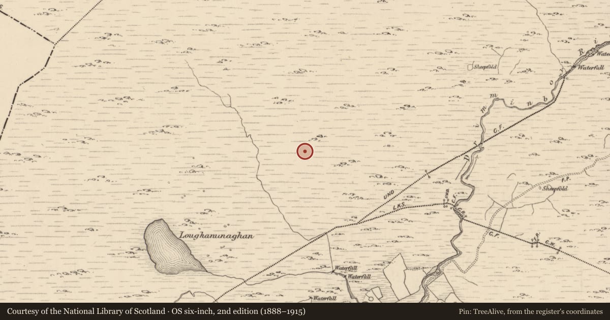 Ordnance Survey six-inch map, 2nd edition (1888–1915) covering the location of Hut site, Shronebirrane, County Kerry, with a pin at the register's coordinates