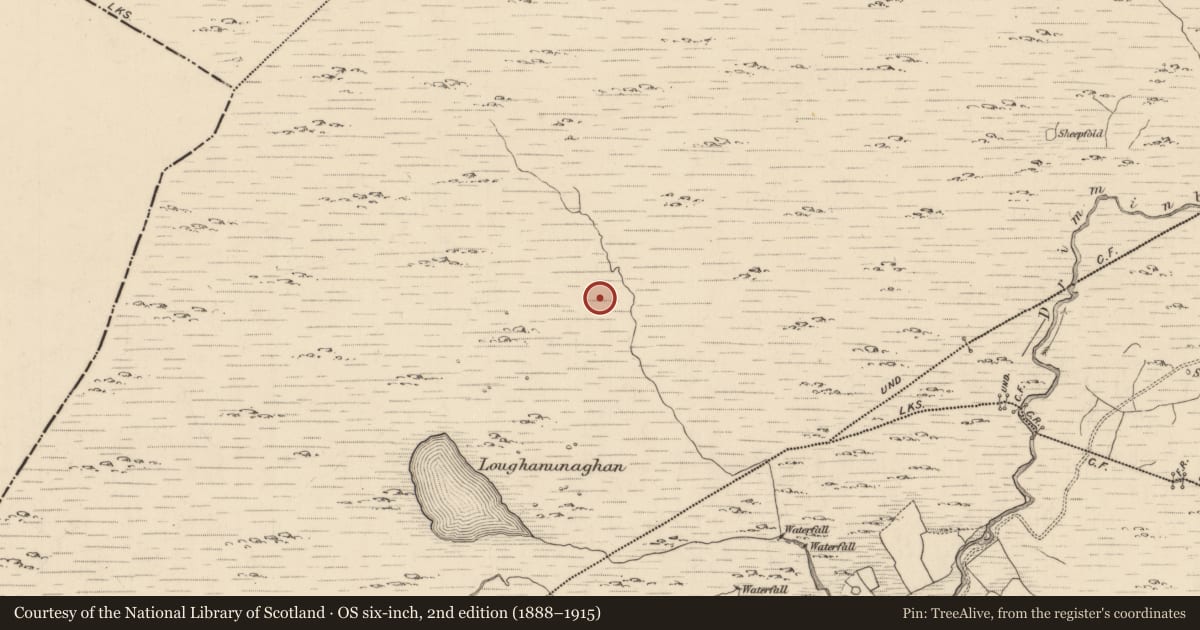 Ordnance Survey six-inch map, 2nd edition (1888–1915) covering the location of Enclosure, Shronebirrane, County Kerry, with a pin at the register's coordinates