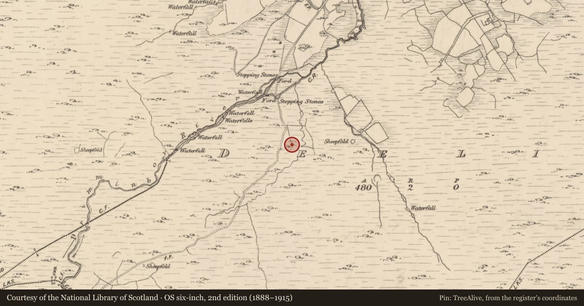 Ordnance Survey six-inch map, 2nd edition (1888–1915) covering the location of Enclosure, Deelis, County Kerry, with a pin at the register's coordinates