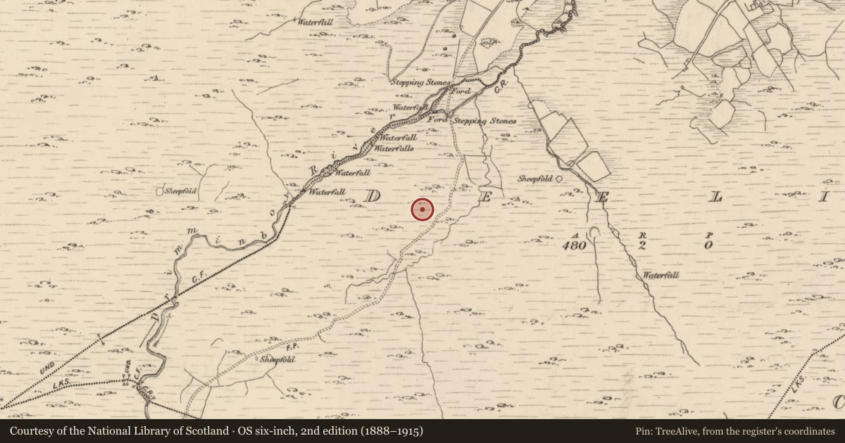 Ordnance Survey six-inch map, 2nd edition (1888–1915) covering the location of Enclosure, Deelis, County Kerry, with a pin at the register's coordinates