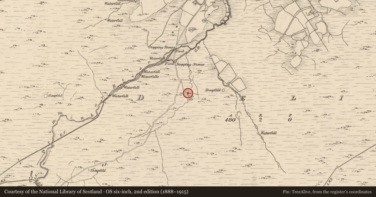 Ordnance Survey six-inch map, 2nd edition (1888–1915) covering the location of Fulacht fia, Deelis, County Kerry, with a pin at the register's coordinates