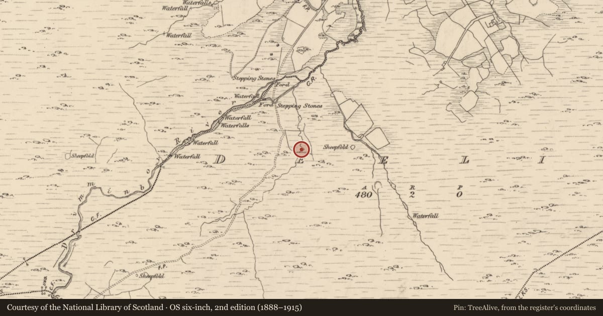 Ordnance Survey six-inch map, 2nd edition (1888–1915) covering the location of Fulacht fia, Deelis, County Kerry, with a pin at the register's coordinates