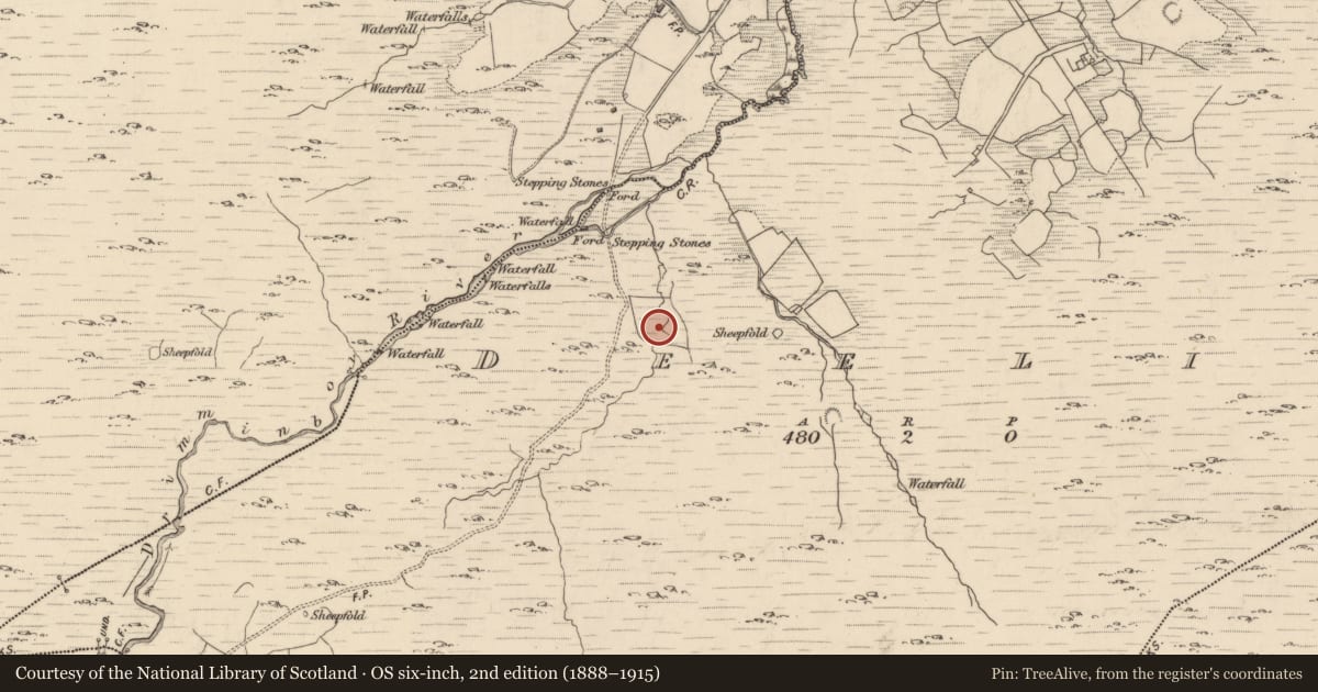 Ordnance Survey six-inch map, 2nd edition (1888–1915) covering the location of Fulacht fia, Deelis, County Kerry, with a pin at the register's coordinates