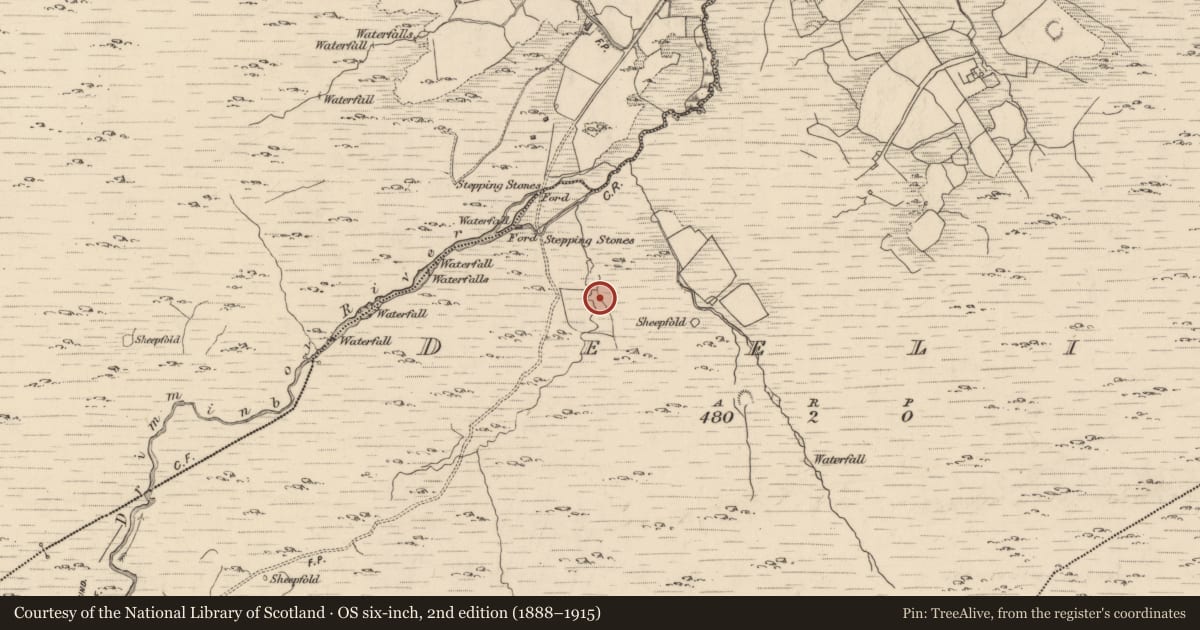 Ordnance Survey six-inch map, 2nd edition (1888–1915) covering the location of Fulacht fia, Deelis, County Kerry, with a pin at the register's coordinates