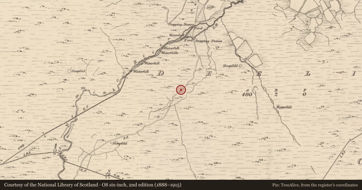Ordnance Survey six-inch map, 2nd edition (1888–1915) covering the location of Hut site, Deelis, County Kerry, with a pin at the register's coordinates