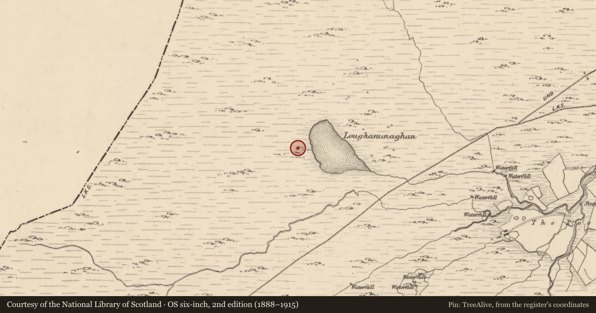 Ordnance Survey six-inch map, 2nd edition (1888–1915) covering the location of Standing stone - pair, Shronebirrane, County Kerry, with a pin at the register's coordinates
