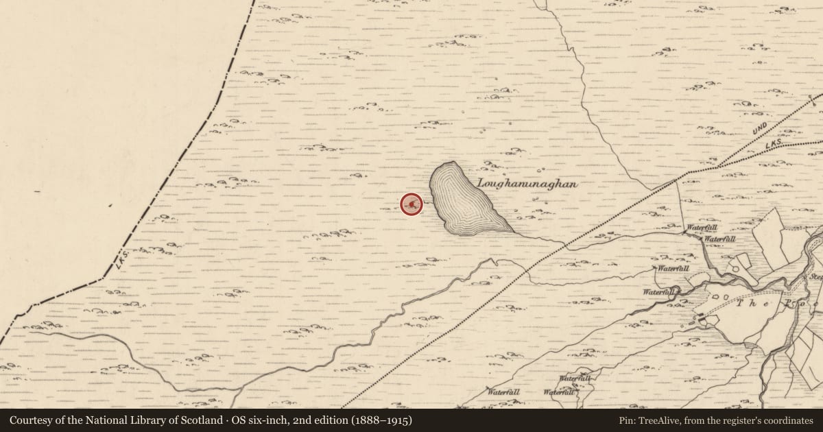 Ordnance Survey six-inch map, 2nd edition (1888–1915) covering the location of Hut site, Shronebirrane, County Kerry, with a pin at the register's coordinates