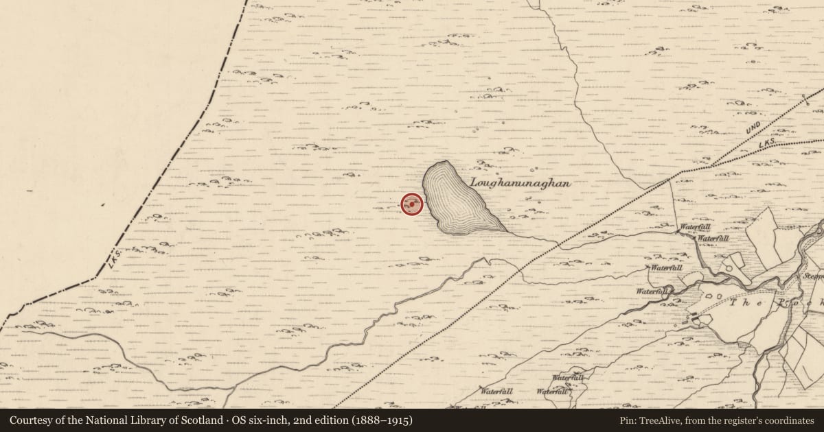 Ordnance Survey six-inch map, 2nd edition (1888–1915) covering the location of Megalithic structure, Shronebirrane, County Kerry, with a pin at the register's coordinates