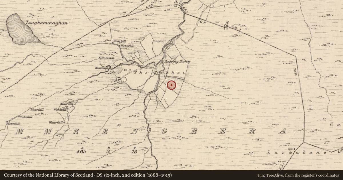 Ordnance Survey six-inch map, 2nd edition (1888–1915) covering the location of Fulacht fia, Cummeengeera, County Kerry, with a pin at the register's coordinates