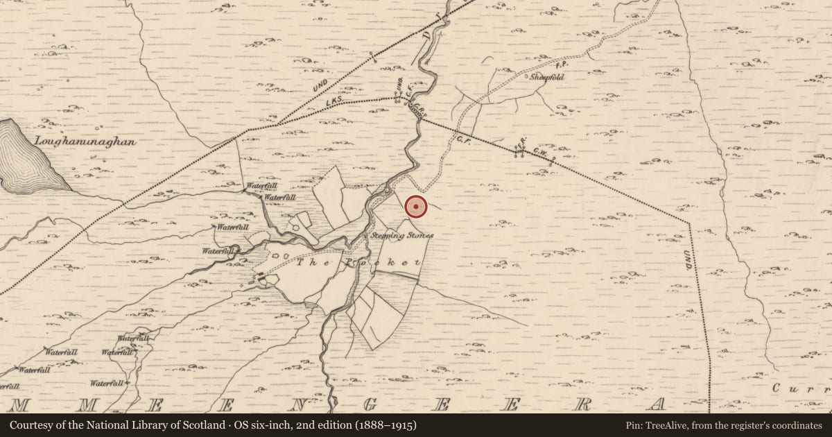 Ordnance Survey six-inch map, 2nd edition (1888–1915) covering the location of Charcoal-making site, Cummeengeera, County Kerry, with a pin at the register's coordinates
