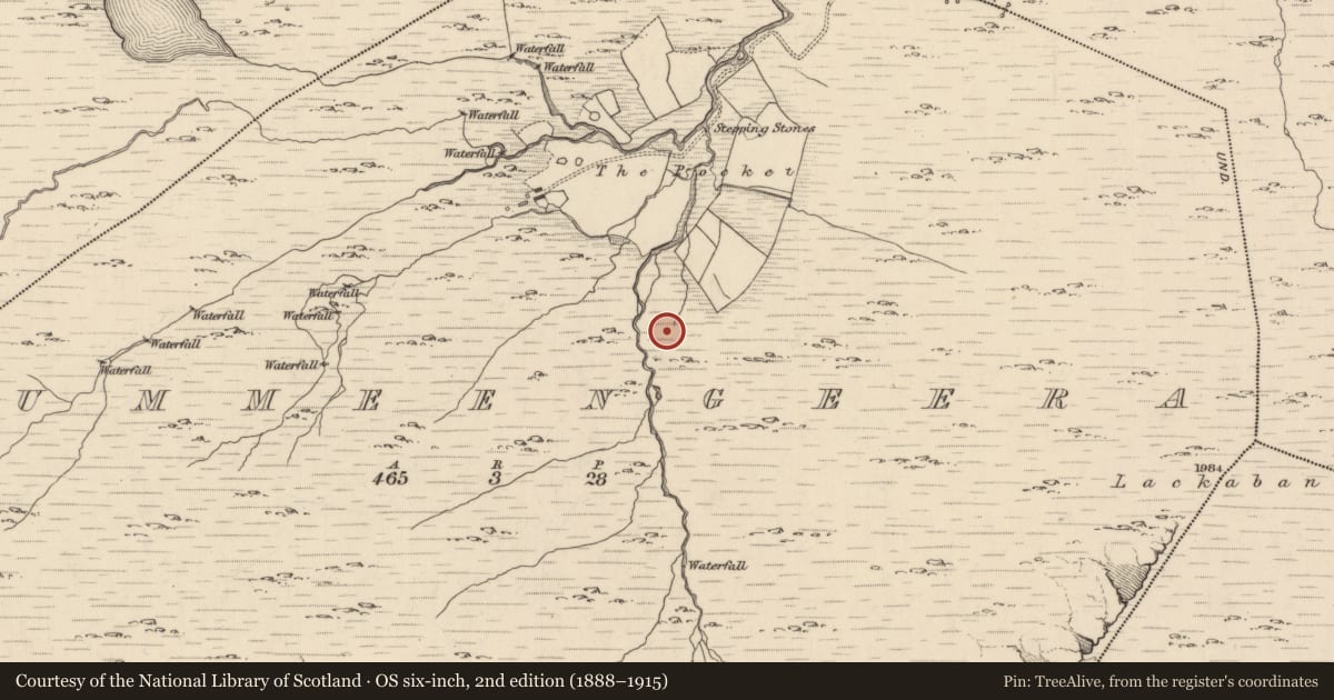 Ordnance Survey six-inch map, 2nd edition (1888–1915) covering the location of Field boundary, Cummeengeera, County Kerry, with a pin at the register's coordinates