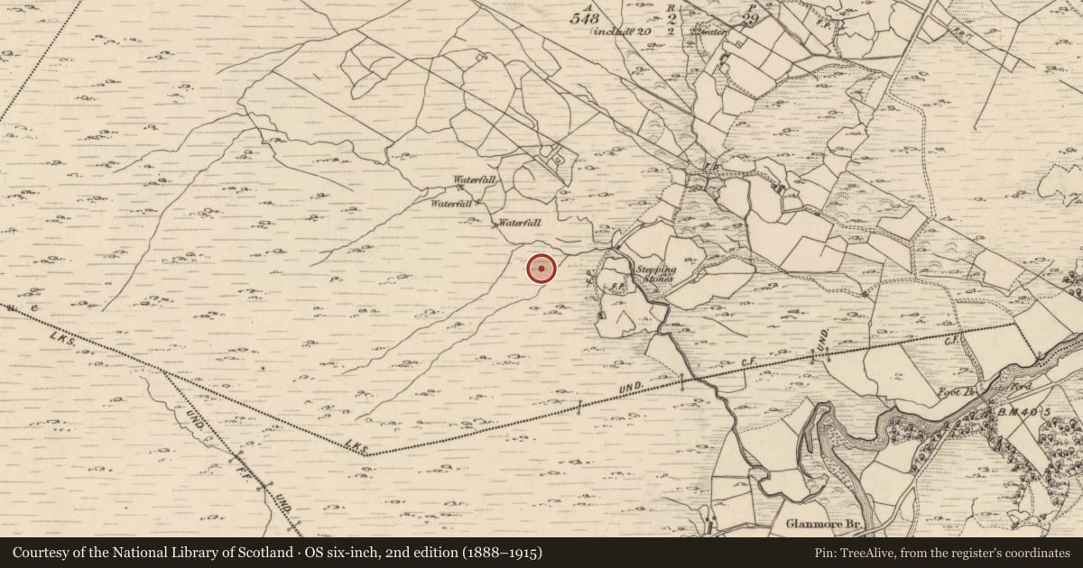Ordnance Survey six-inch map, 2nd edition (1888–1915) covering the location of Fulacht fia, Canagullen, County Kerry, with a pin at the register's coordinates