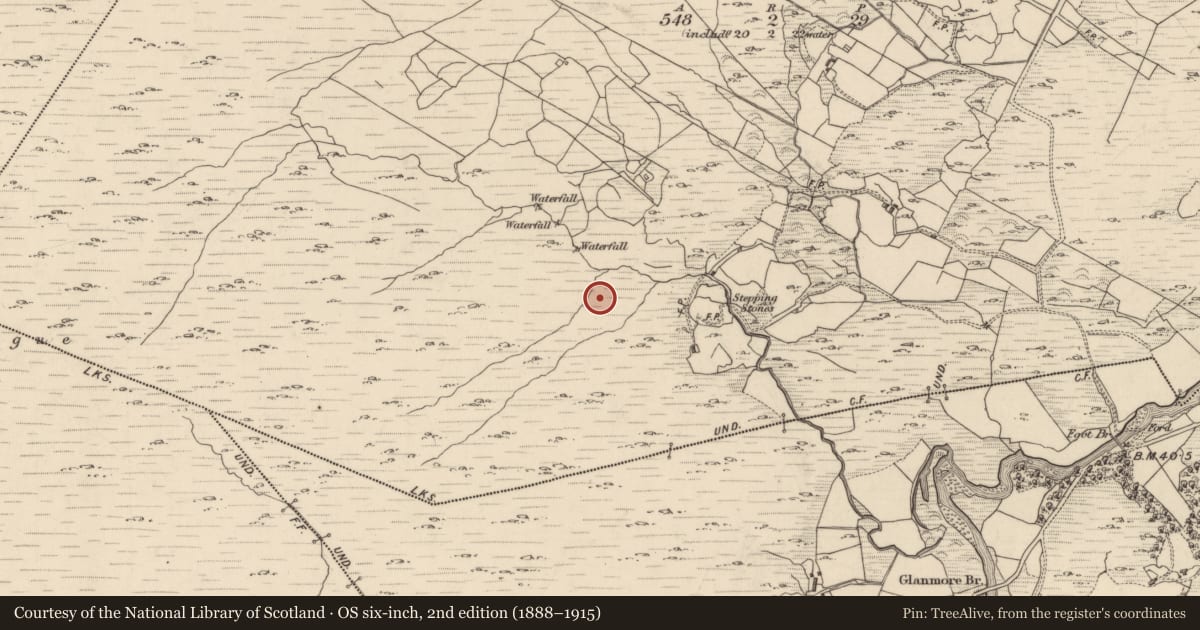 Ordnance Survey six-inch map, 2nd edition (1888–1915) covering the location of Enclosure, Canagullen, County Kerry, with a pin at the register's coordinates