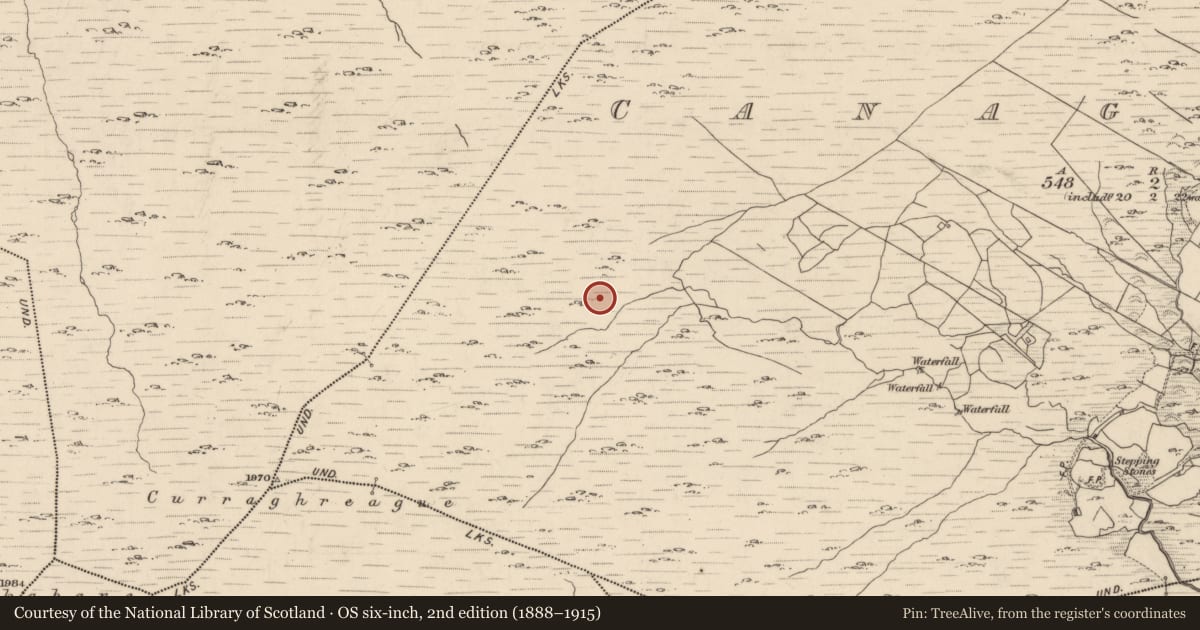 Ordnance Survey six-inch map, 2nd edition (1888–1915) covering the location of Enclosure, Canagullen, County Kerry, with a pin at the register's coordinates