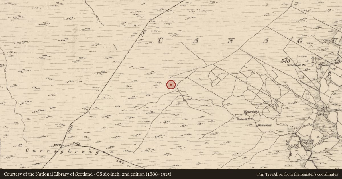 Ordnance Survey six-inch map, 2nd edition (1888–1915) covering the location of Hut site, Canagullen, County Kerry, with a pin at the register's coordinates