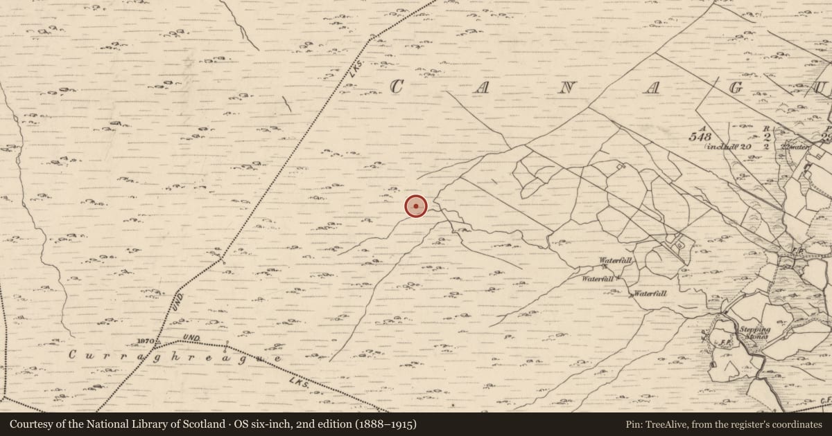 Ordnance Survey six-inch map, 2nd edition (1888–1915) covering the location of Hut site, Canagullen, County Kerry, with a pin at the register's coordinates