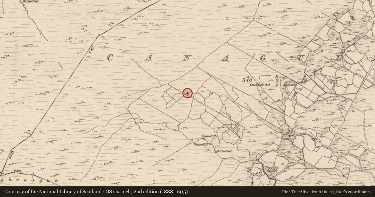 Ordnance Survey six-inch map, 2nd edition (1888–1915) covering the location of Field boundary, Canagullen, County Kerry, with a pin at the register's coordinates
