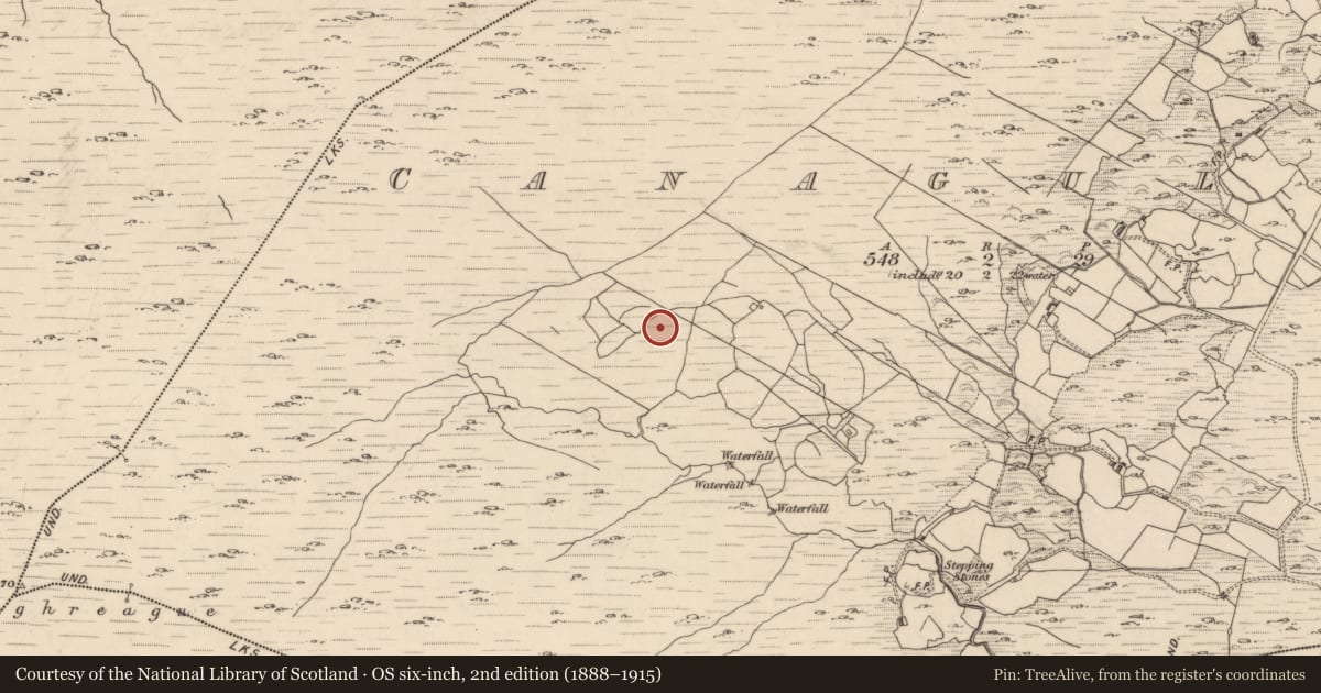 Ordnance Survey six-inch map, 2nd edition (1888–1915) covering the location of Hut site, Canagullen, County Kerry, with a pin at the register's coordinates
