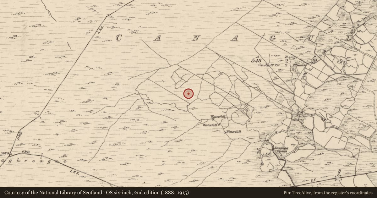 Ordnance Survey six-inch map, 2nd edition (1888–1915) covering the location of Hut site, Canagullen, County Kerry, with a pin at the register's coordinates
