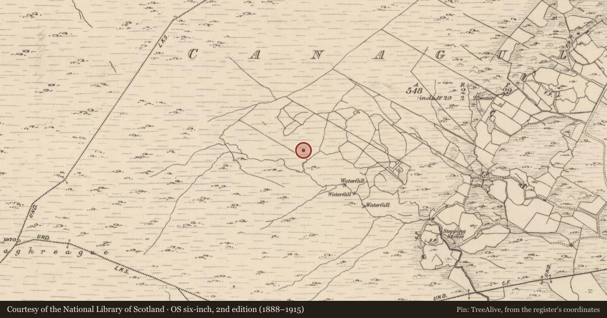 Ordnance Survey six-inch map, 2nd edition (1888–1915) covering the location of Hut site, Canagullen, County Kerry, with a pin at the register's coordinates