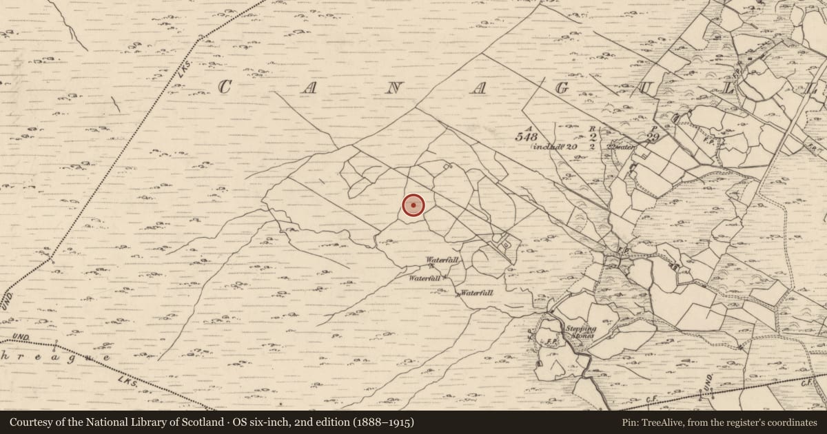 Ordnance Survey six-inch map, 2nd edition (1888–1915) covering the location of Hut site, Canagullen, County Kerry, with a pin at the register's coordinates
