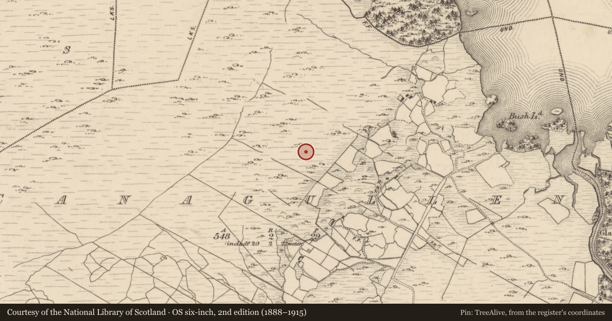 Ordnance Survey six-inch map, 2nd edition (1888–1915) covering the location of Hut site, Canagullen, County Kerry, with a pin at the register's coordinates