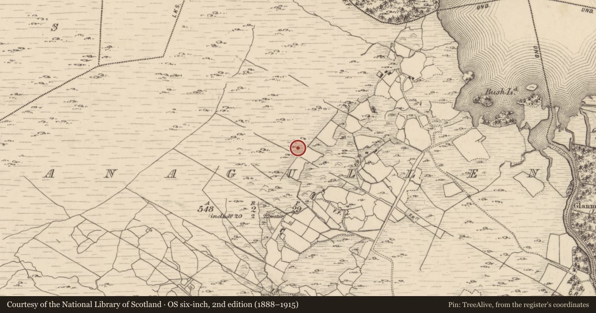 Ordnance Survey six-inch map, 2nd edition (1888–1915) covering the location of Charcoal-making site, Canagullen, County Kerry, with a pin at the register's coordinates
