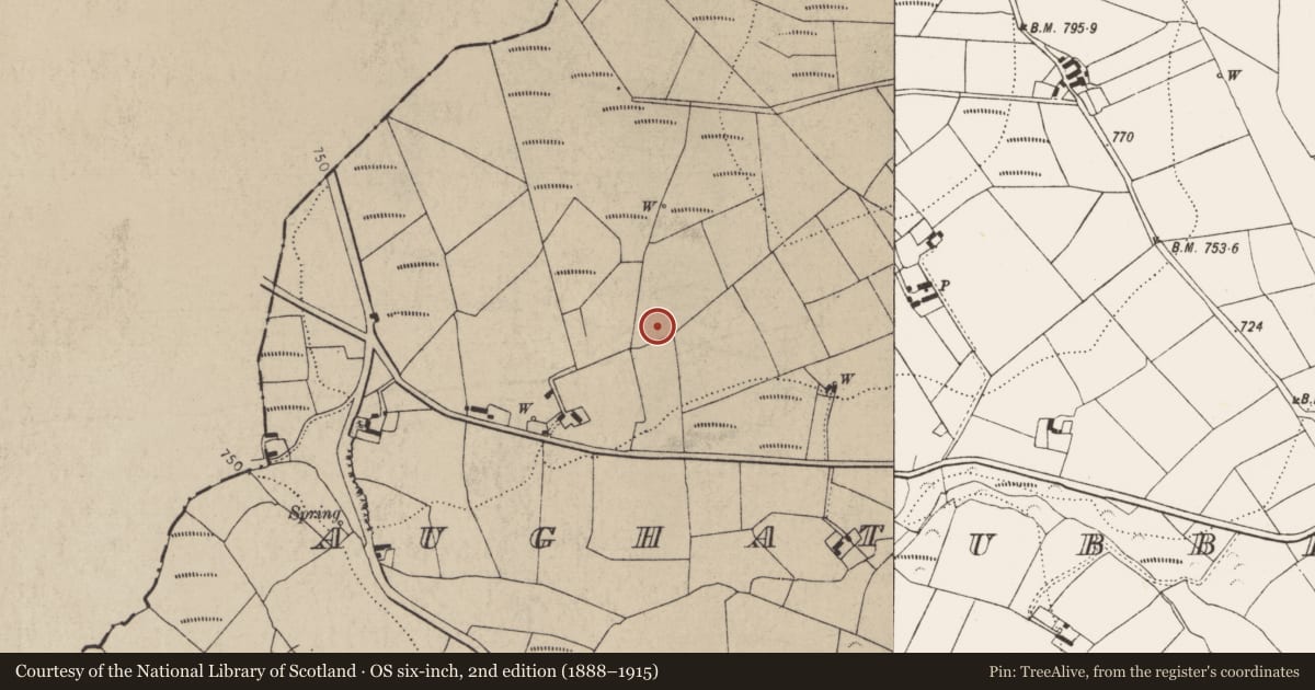 Ordnance Survey six-inch map, 2nd edition (1888–1915) covering the location of Enclosure, Aughatubbrid Or Chatsworth, County Kilkenny, with a pin at the register's coordinates