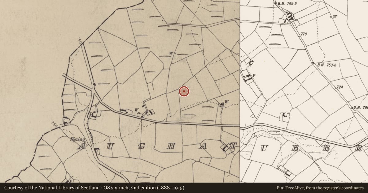 Ordnance Survey six-inch map, 2nd edition (1888–1915) covering the location of Field system, Aughatubbrid Or Chatsworth, County Kilkenny, with a pin at the register's coordinates