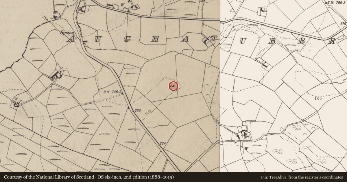 Ordnance Survey six-inch map, 2nd edition (1888–1915) covering the location of Barrow - ring-barrow, Aughatubbrid Or Chatsworth, County Kilkenny, with a pin at the register's coordinates
