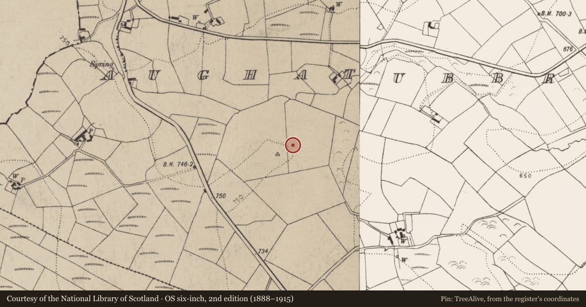 Ordnance Survey six-inch map, 2nd edition (1888–1915) covering the location of Enclosure, Aughatubbrid Or Chatsworth, County Kilkenny, with a pin at the register's coordinates