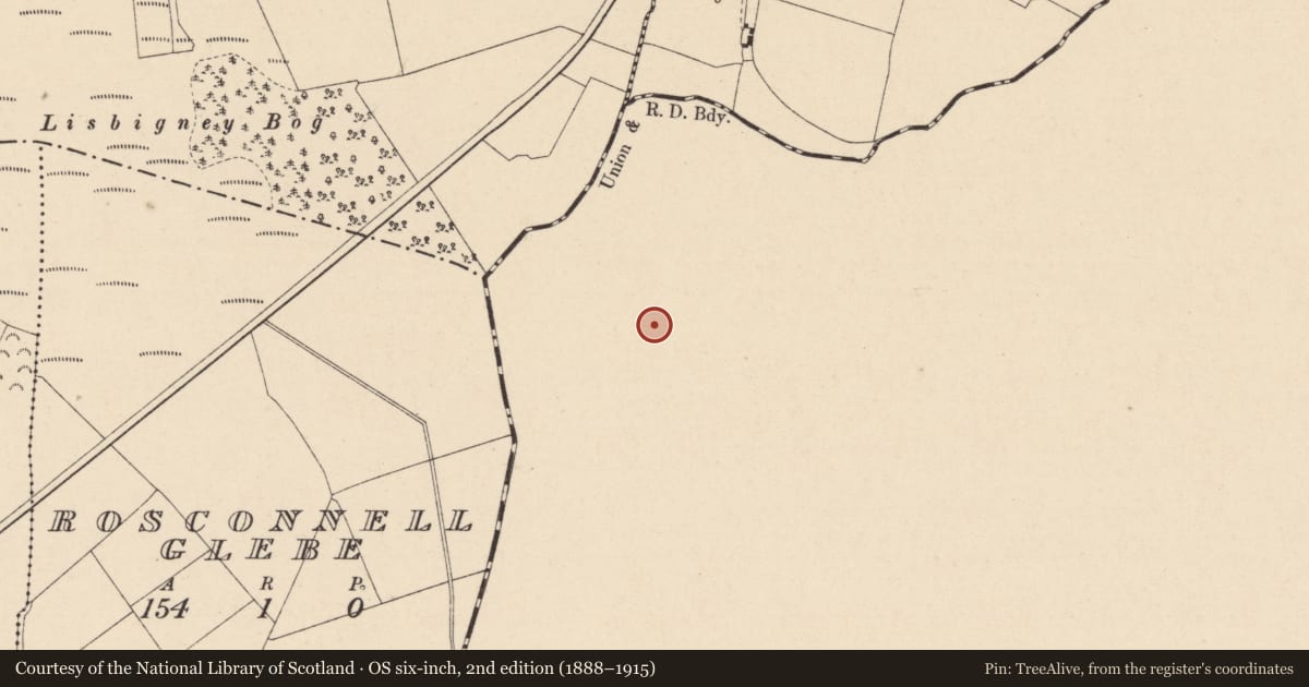 Ordnance Survey six-inch map, 2nd edition (1888–1915) covering the location of Ritual site - holy well, Castlemarket, County Kilkenny, with a pin at the register's coordinates