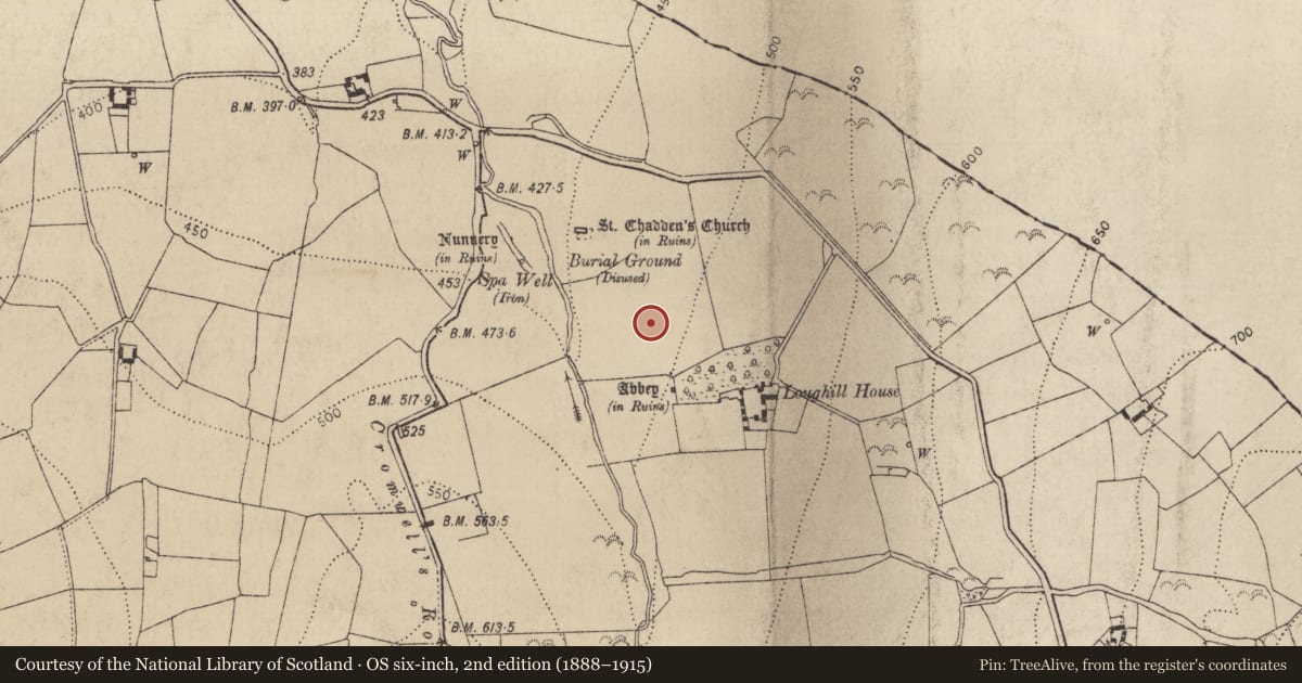 Ordnance Survey six-inch map, 2nd edition (1888–1915) covering the location of Linear earthwork, Loughill, County Kilkenny, with a pin at the register's coordinates