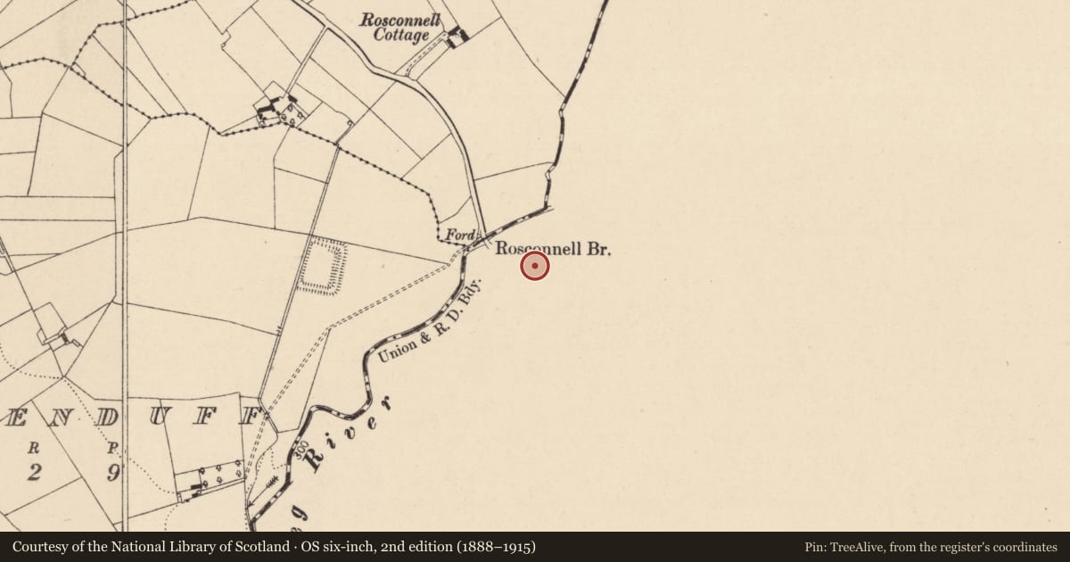 Ordnance Survey six-inch map, 2nd edition (1888–1915) covering the location of Graveyard, Castlemarket, County Kilkenny, with a pin at the register's coordinates