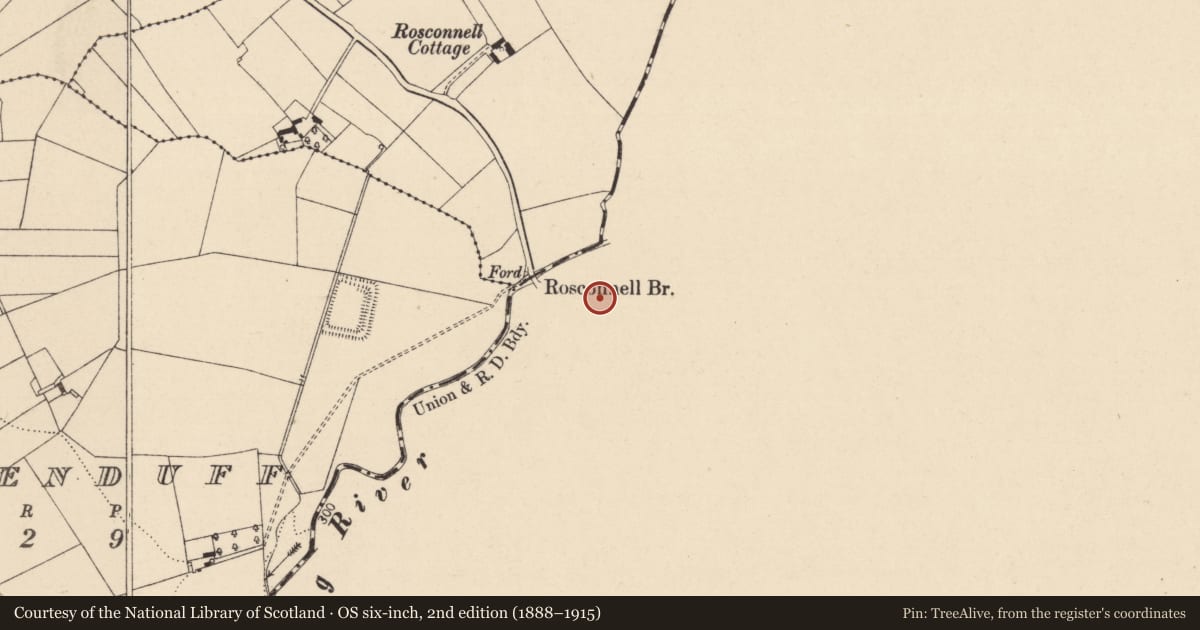 Ordnance Survey six-inch map, 2nd edition (1888–1915) covering the location of Memorial stone, Castlemarket, County Kilkenny, with a pin at the register's coordinates