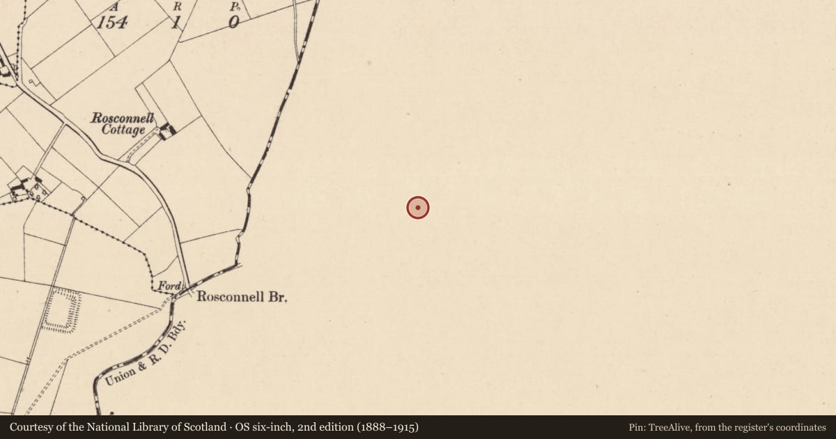 Ordnance Survey six-inch map, 2nd edition (1888–1915) covering the location of Castle - unclassified, Castlemarket, County Kilkenny, with a pin at the register's coordinates