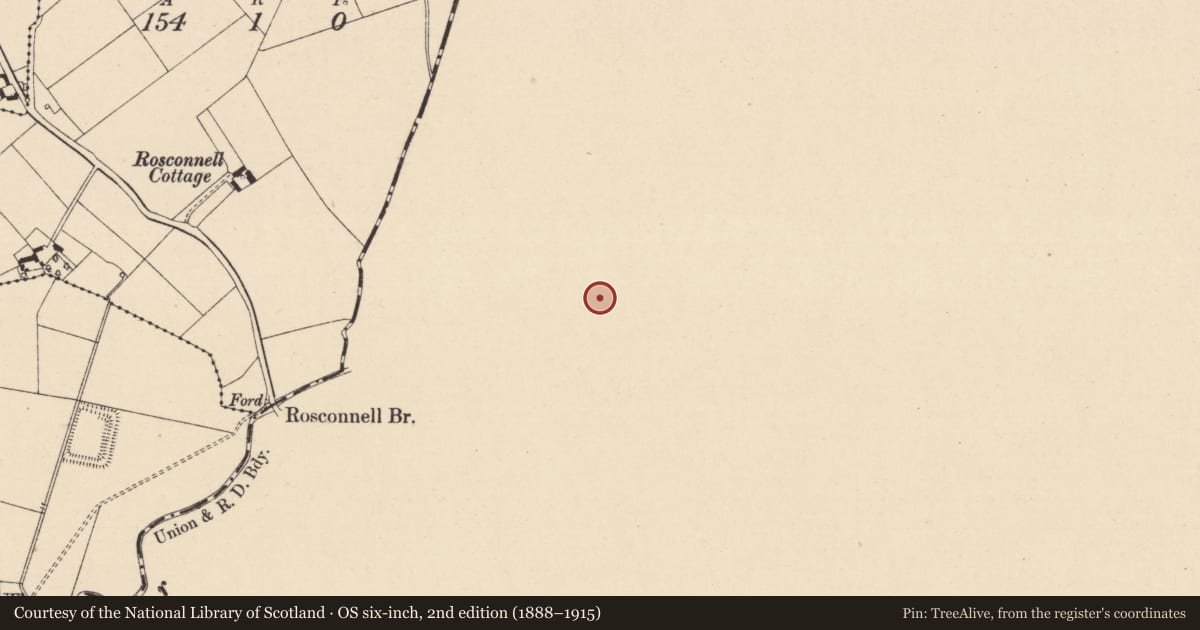 Ordnance Survey six-inch map, 2nd edition (1888–1915) covering the location of Settlement deserted - medieval, Castlemarket, County Kilkenny, with a pin at the register's coordinates