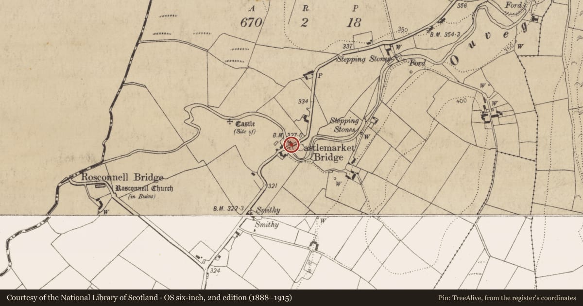 Ordnance Survey six-inch map, 2nd edition (1888–1915) covering the location of Bridge, Castlemarket, County Kilkenny, with a pin at the register's coordinates