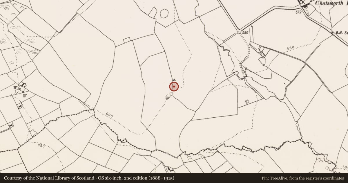 Ordnance Survey six-inch map, 2nd edition (1888–1915) covering the location of Church, Aughatubbrid Or Chatsworth, County Kilkenny, with a pin at the register's coordinates