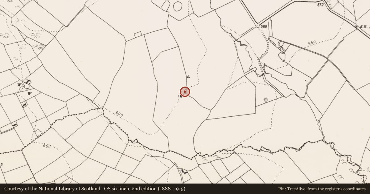 Ordnance Survey six-inch map, 2nd edition (1888–1915) covering the location of Ritual site - holy well, Aughatubbrid Or Chatsworth, County Kilkenny, with a pin at the register's coordinates