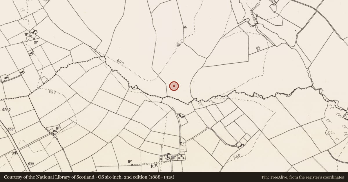 Ordnance Survey six-inch map, 2nd edition (1888–1915) covering the location of Moated site, Aughatubbrid Or Chatsworth, County Kilkenny, with a pin at the register's coordinates