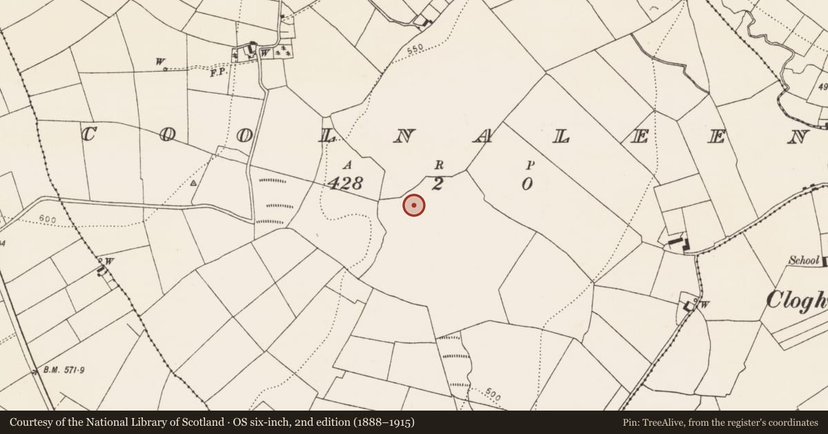 Ordnance Survey six-inch map, 2nd edition (1888–1915) covering the location of Moated site, Coolnaleen, County Kilkenny, with a pin at the register's coordinates