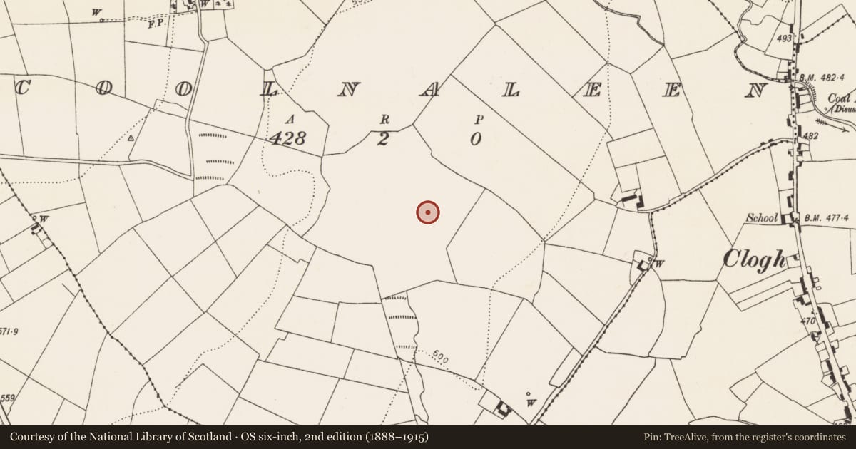 Ordnance Survey six-inch map, 2nd edition (1888–1915) covering the location of Field system, Coolnaleen, County Kilkenny, with a pin at the register's coordinates