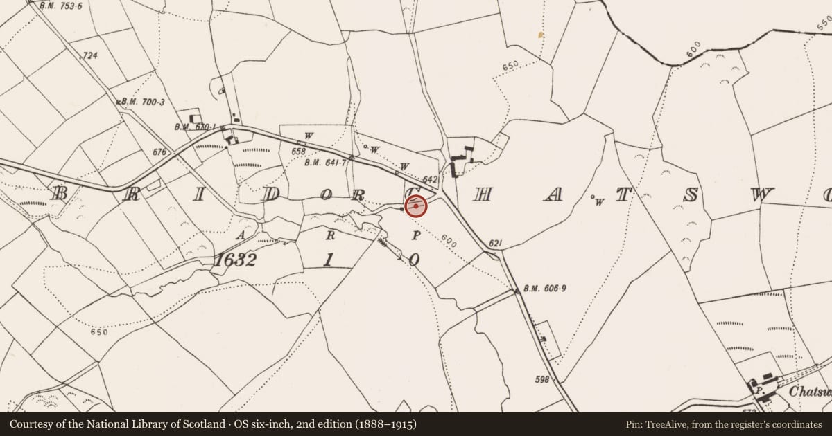 Ordnance Survey six-inch map, 2nd edition (1888–1915) covering the location of Fulacht fia, Aughatubbrid Or Chatsworth, County Kilkenny, with a pin at the register's coordinates