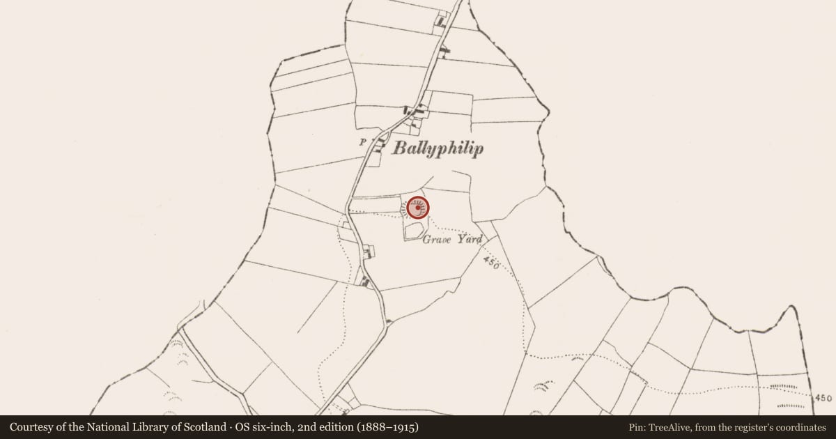Ordnance Survey six-inch map, 2nd edition (1888–1915) covering the location of Ringfort - rath, Whiteswall, County Kilkenny, with a pin at the register's coordinates