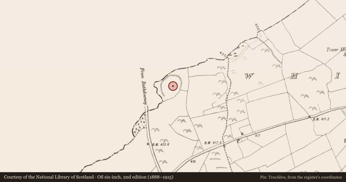 Ordnance Survey six-inch map, 2nd edition (1888–1915) covering the location of Enclosure, Castletown, County Kilkenny, with a pin at the register's coordinates