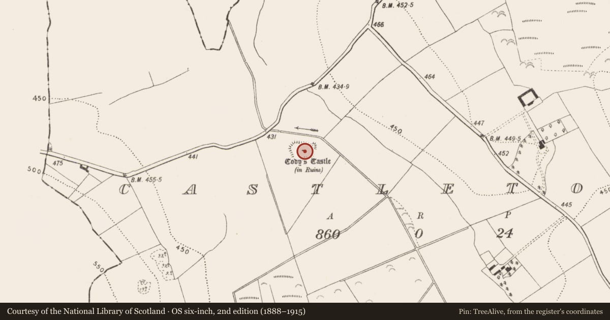 Ordnance Survey six-inch map, 2nd edition (1888–1915) covering the location of Castle - unclassified, Castletown, County Kilkenny, with a pin at the register's coordinates