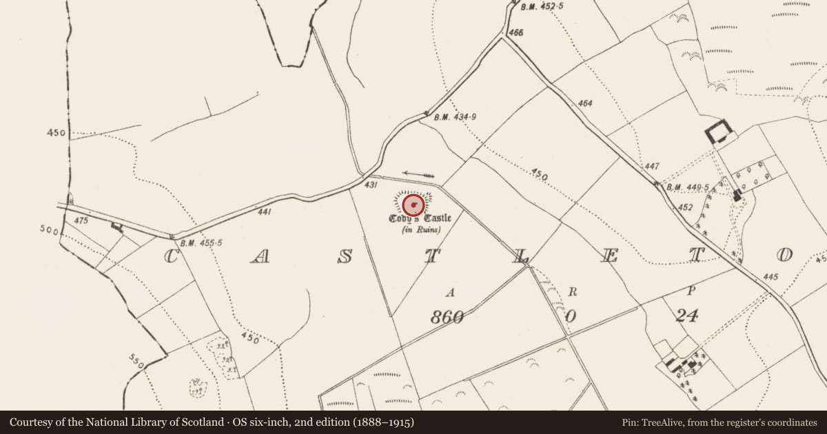 Ordnance Survey six-inch map, 2nd edition (1888–1915) covering the location of Bawn, Castletown, County Kilkenny, with a pin at the register's coordinates
