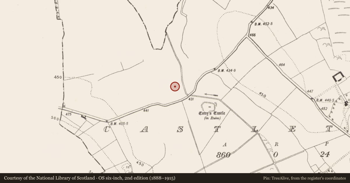 Ordnance Survey six-inch map, 2nd edition (1888–1915) covering the location of Enclosure, Castletown, County Kilkenny, with a pin at the register's coordinates