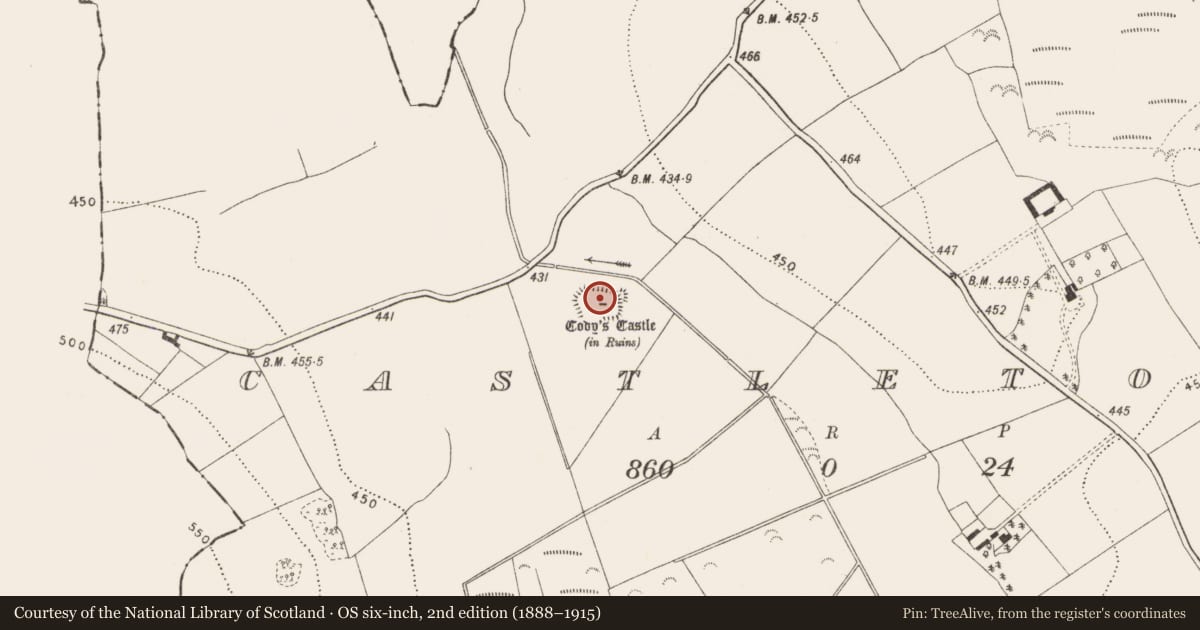 Ordnance Survey six-inch map, 2nd edition (1888–1915) covering the location of Building, Castletown, County Kilkenny, with a pin at the register's coordinates